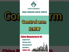 イヴァンゾネコブランド - 制御アームの全範囲