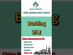 イヴァン・ゾネコ - ブッシュ