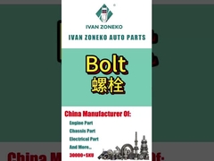 イヴァン・ゾネコ - ボルト