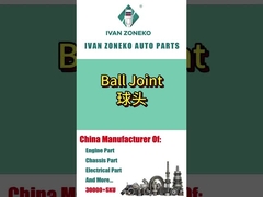 イヴァン・ゾネコ ボール・ジョイント